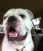 photo-9.JPG photo-9.JPG