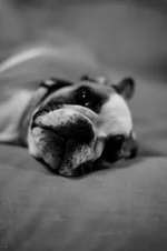 Ellie Mae 3.webp