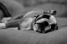 Ellie Mae 4.webp