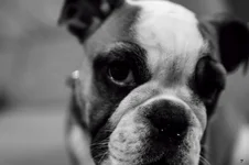Ellie Mae 6.webp