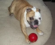 100_0330.webp