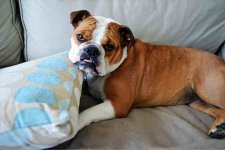 ImageUploadedByTapatalk1331906597.734115.jpg ImageUploadedByTapatalk1331906597.734115.jpg