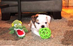 IMG_1014.jpg IMG_1014.jpg
