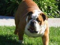 ImageUploadedByTapatalk1331911114.396858.jpg ImageUploadedByTapatalk1331911114.396858.jpg