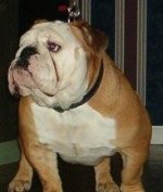 ImageUploadedByTapatalk1331911167.395264.jpg ImageUploadedByTapatalk1331911167.395264.jpg