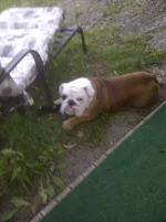 IMG-20120630-00286.webp