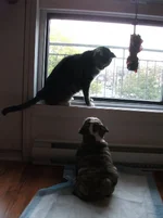 DSCF1828.webp