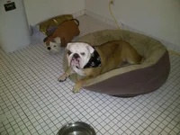IMG-20120620-00273.webp
