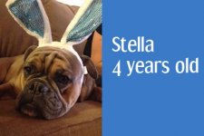 stella.jpg