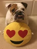 lola.webp lola.webp