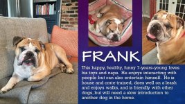 frank.jpg frank.jpg