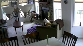 Image-1 (2).webp