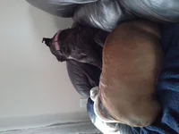 My mornings.webp