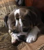 IMG_9571.webp
