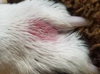 20190210_125629.webp