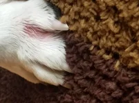 20190210_125539.webp