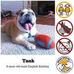 Tank.webp Tank.webp