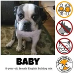 Baby.webp