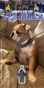 lola 13.webp