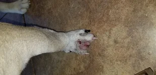 20180827_175120.webp
