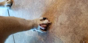 20180827_175115.webp