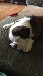 IMG_4281.JPG IMG_4281.JPG