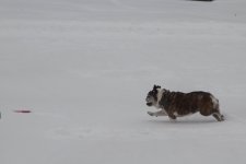 snowplay (1).jpg snowplay (1).jpg