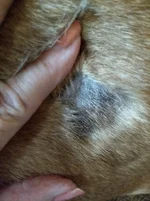 Monty spot.webp