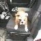 egami_content.__media_external_images_media_589.webp egami_content.__media_external_images_media_589.webp