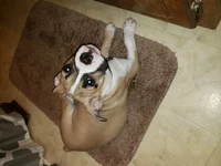 20190219_195239.webp