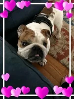 Rudy.webp