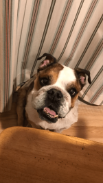 IMG_5467.PNG IMG_5467.PNG