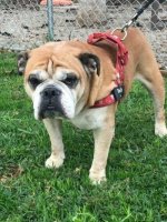 Bishop.jpg Bishop.jpg