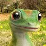 gecko.webp