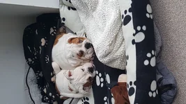 20190228_131528.webp