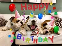 FB_IMG_1536205962741.webp FB_IMG_1536205962741.webp