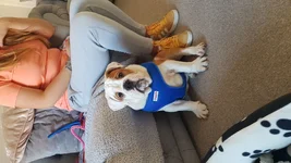 20190227_104306.webp