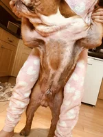 27718355-1B51-4EB7-9EF0-34353185127A.webp