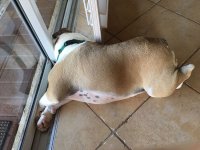 IMG_0088.JPG IMG_0088.JPG