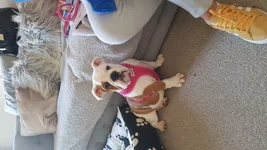 20190227_104122.webp