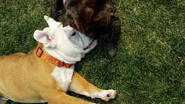 Nyala, tell her it was you.webp