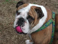 DSCF3069.webp