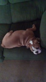 IMG_20170801_165955.jpg