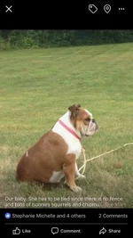 isobel.webp