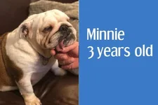 minnie.webp minnie.webp