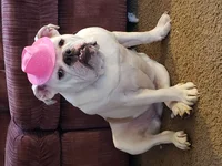 20190203_150938.webp