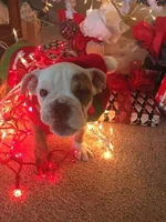 FB_IMG_1516310926882.webp