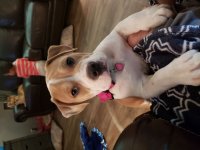 20180919_172741.jpg