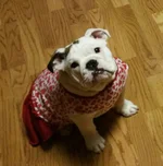 20171117_212334-1-1.webp
