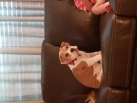 20180919_173751.jpg